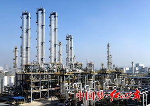 幸福红四方丨沐浴春风40载 化工